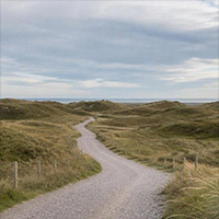 linie i landskabet